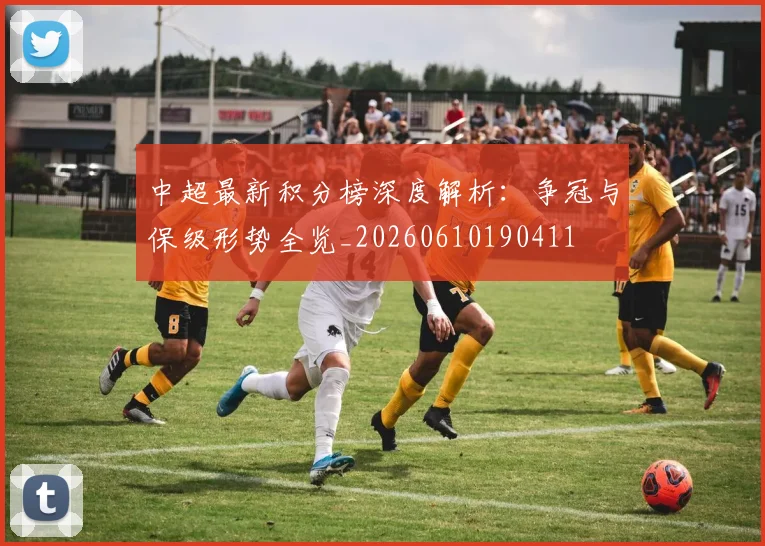中超最新积分榜深度解析：争冠与保级形势全览_20260610190411